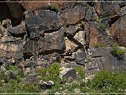 Mogollon Culture Petroglyph Site