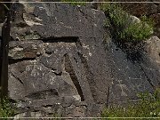 Mogollon Culture Petroglyph Site