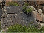 Mogollon Culture Petroglyph Site