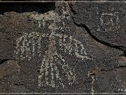 Mogollon Culture Petroglyph Site