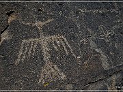 Mogollon Culture Petroglyph Site