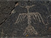 Mogollon Culture Petroglyph Site