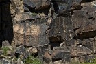 Mogollon Culture Petroglyph Site