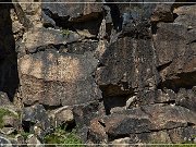 Mogollon Culture Petroglyph Site