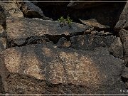 Mogollon Culture Petroglyph Site