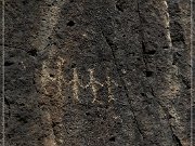 Mogollon Culture Petroglyph Site