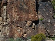 Mogollon Culture Petroglyph Site