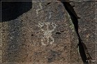 Mogollon Culture Petroglyph Site