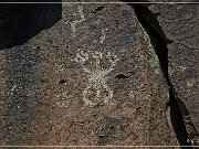 Mogollon Culture Petroglyph Site