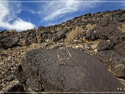 Petroglyph NM