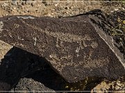 Petroglyph NM