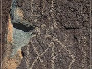 Petroglyph NM