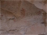 Pictograph Canyon