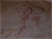 Pictograph Canyon