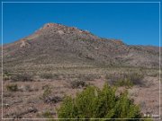 Pony Hill Petroglyphs