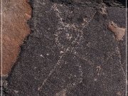 Pony Hill Petroglyphs