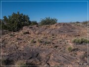 Pony Hill Petroglyphs