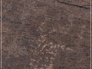 Pony Hill Petroglyphs