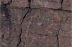Pony Hill Petroglyphs