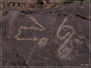 Pony Hill Petroglyphs