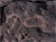 Pony Hill Petroglyphs