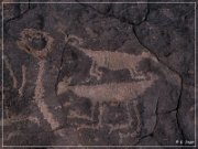 Pony Hill Petroglyphs