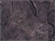 Pony Hill Petroglyphs