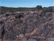 Pony Hill Petroglyphs