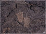 Pony Hill Petroglyphs