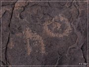 Pony Hill Petroglyphs