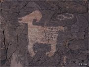 Pony Hill Petroglyphs