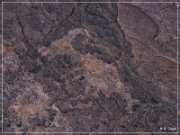 Pony Hill Petroglyphs