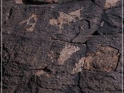 Pony Hill Petroglyphs