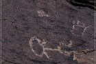 Pony Hill Petroglyphs