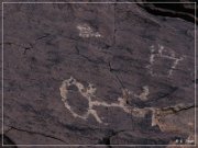 Pony Hill Petroglyphs