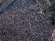 Pony Hill Petroglyphs