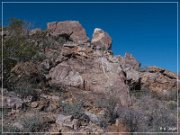 Pony Hill Petroglyphs