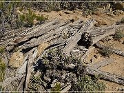 Adolfo Canyon Ruin