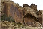 Carrizo Canyon Petroglyphs