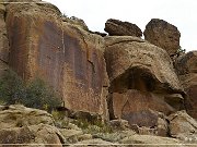 Carrizo Canyon Petroglyphs