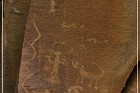 Carrizo Canyon Petroglyphs