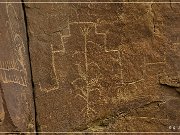 Carrizo Canyon Petroglyphs