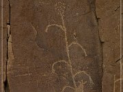 Carrizo Canyon Petroglyphs