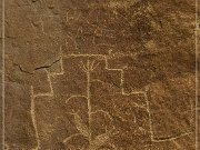 Carrizo Canyon Petroglyphs