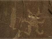 Carrizo Canyon Petroglyphs