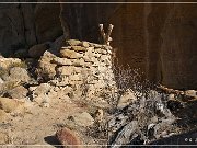 Crow Canyon Petroglyphs