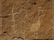 Crow Canyon Petroglyphs