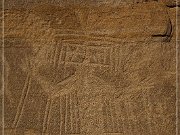 Crow Canyon Petroglyphs