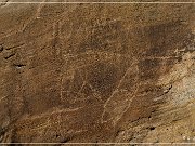 Crow Canyon Petroglyphs