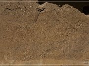 Crow Canyon Petroglyphs